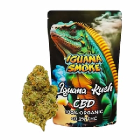 Iguana Kush CBD > Iguana Smoke